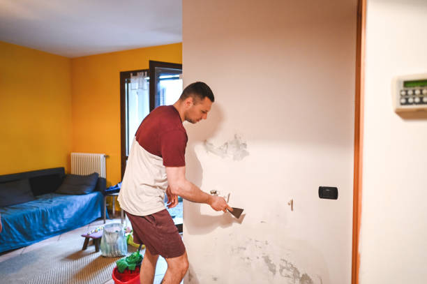 Best Emergency Mold Remediation in Buena Park, CA